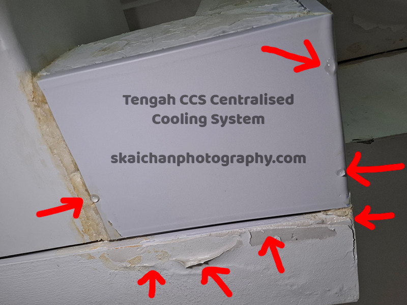 Tengah CCS Centralised Cooling System Leaking Issues in Singapore